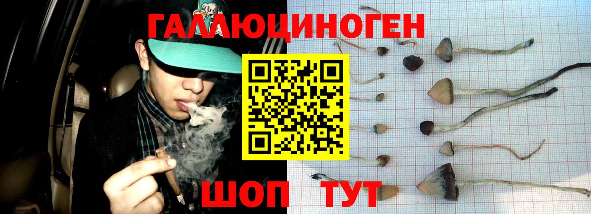 Галлюциногенные грибы мухоморы  Вход с VPN  Алейск 